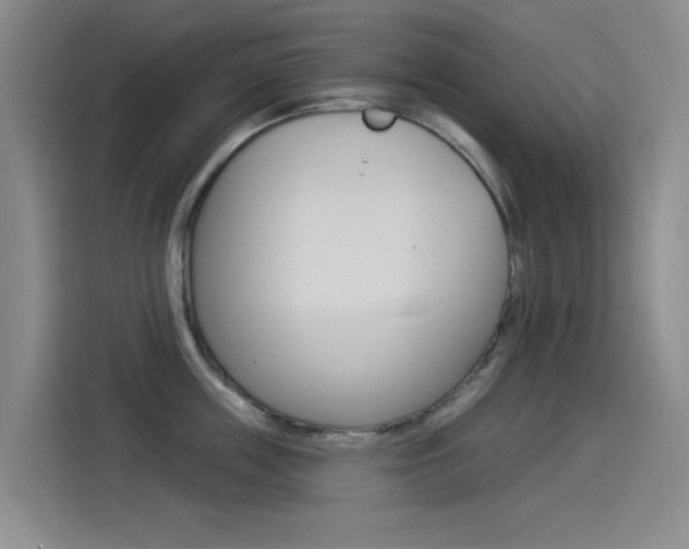 X0000114550859200910190950