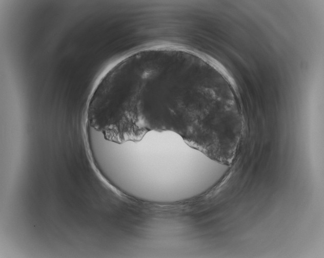X0000114550863200910190950
