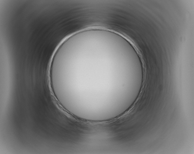 X0000114550864200910190950