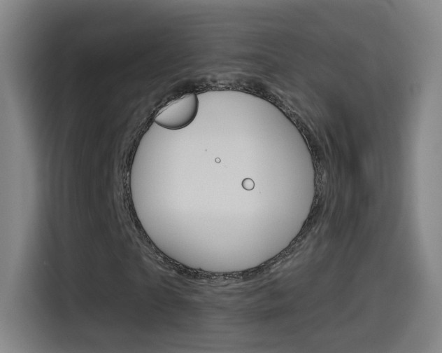 X0000114550865200910190949