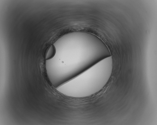 X0000114550867200910190949