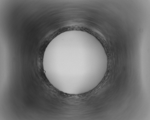 X0000114550869200910190949