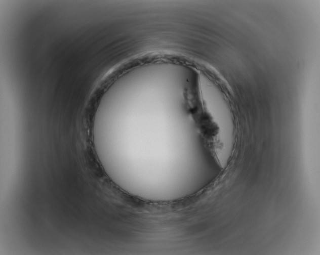 X0000114550871200910190949