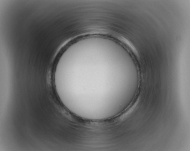 X0000114550875200910190949