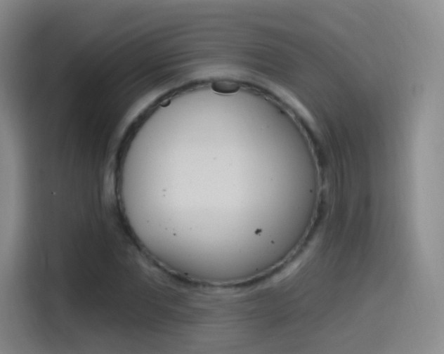 X0000114550877200910190949