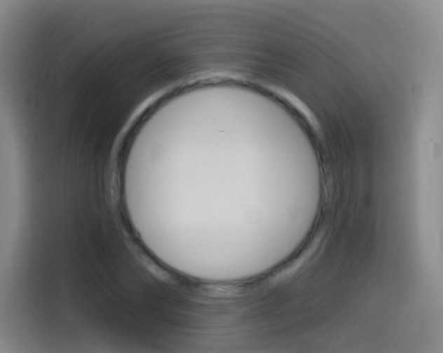 X0000114550878200910190949