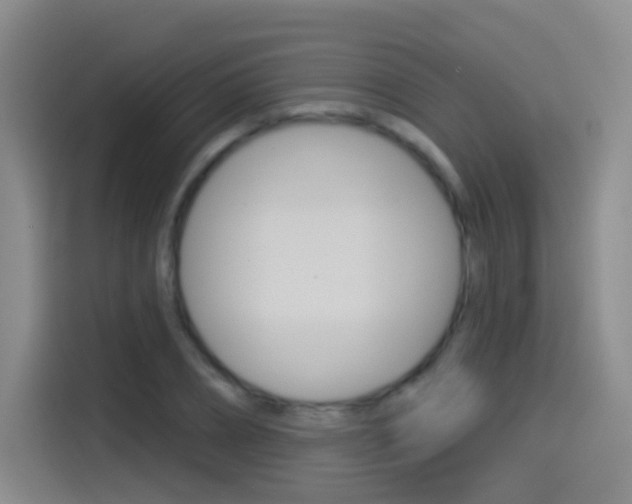 X0000114550882200910190949