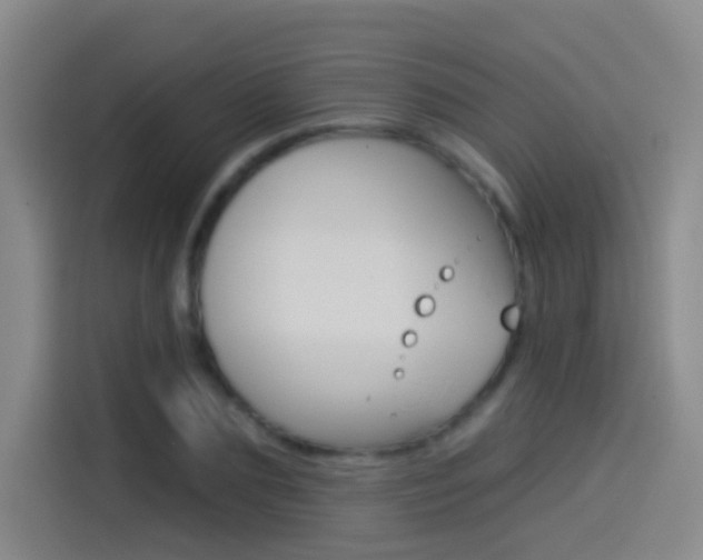 X0000114550883200910190949