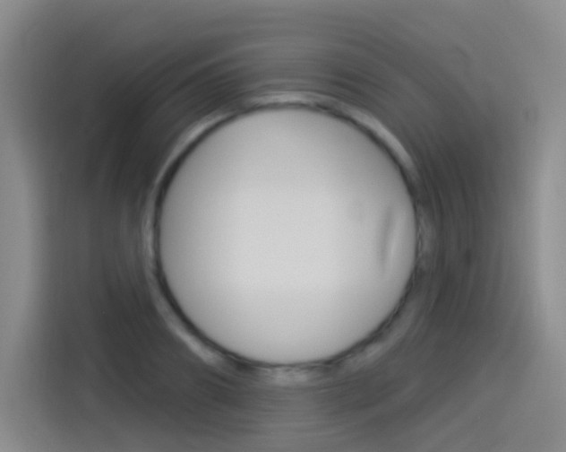 X0000114550890200910190949