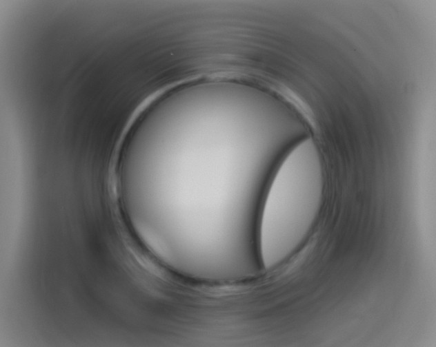 X0000114550891200910190949