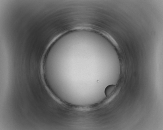 X0000114550893200910190949