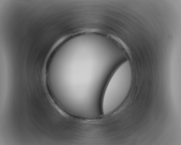 X0000114550894200910190949