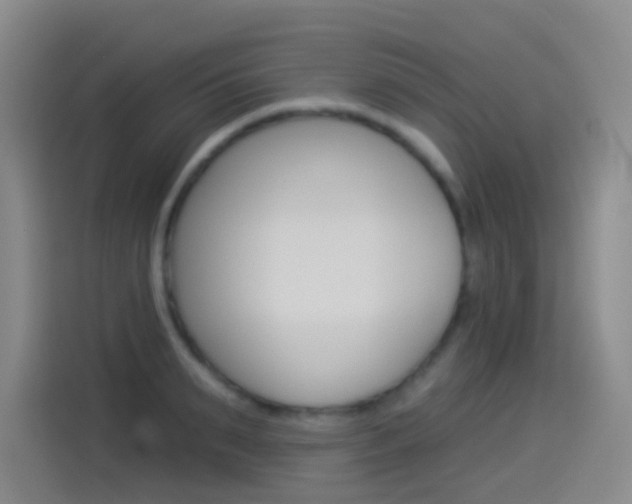 X0000114550895200910190949