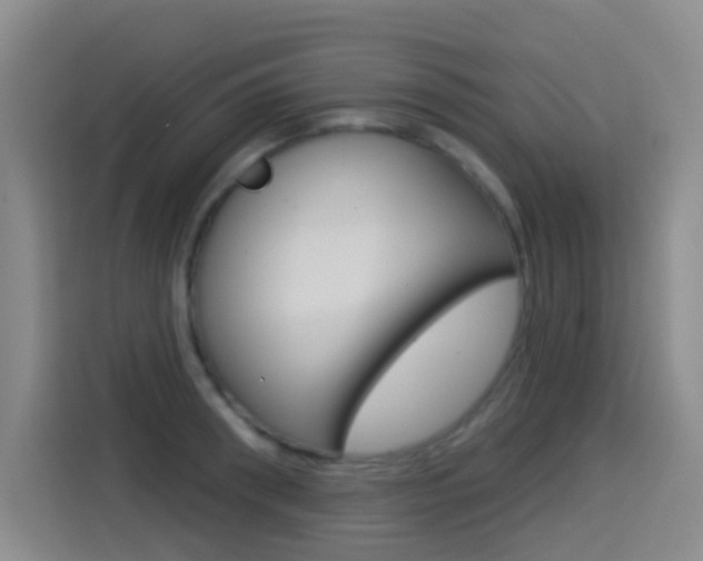 X0000114550898200910190949