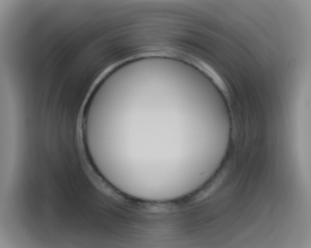 X0000114550899200910190949