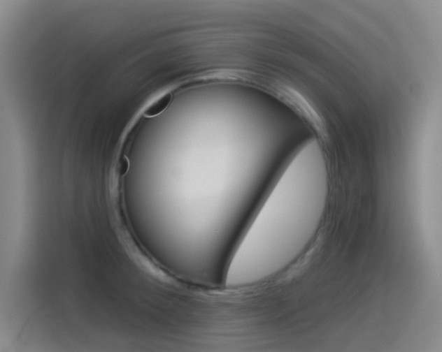X0000114550900200910190949