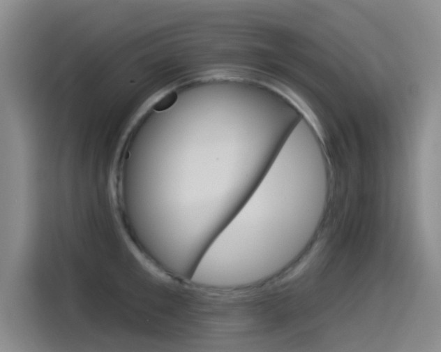 X0000114550901200910190949