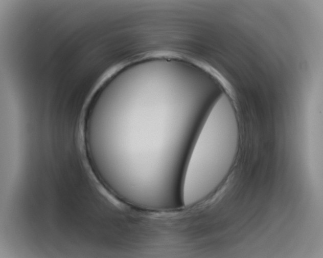 X0000114550902200910190949