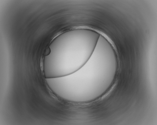 X0000114550905200910190949