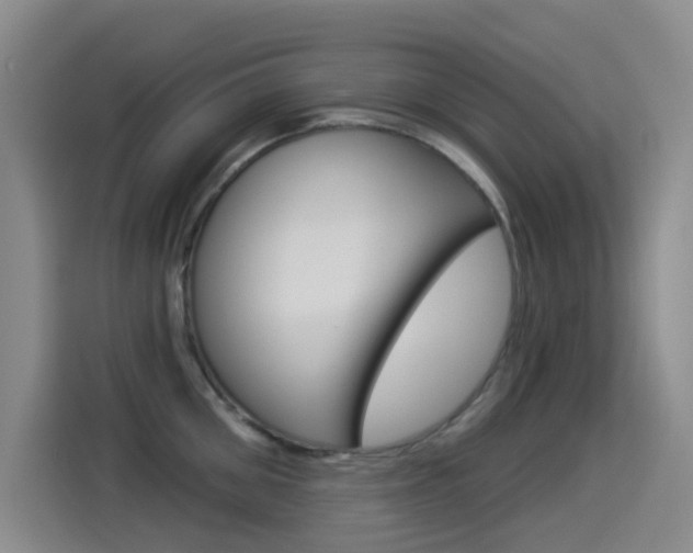 X0000114550906200910190949