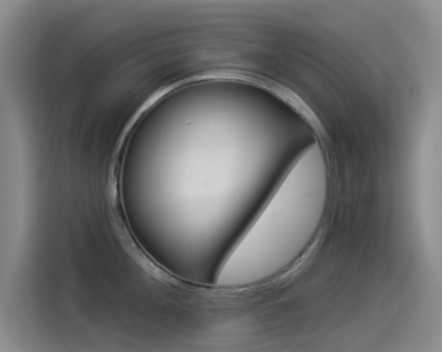 X0000114550908200910190949