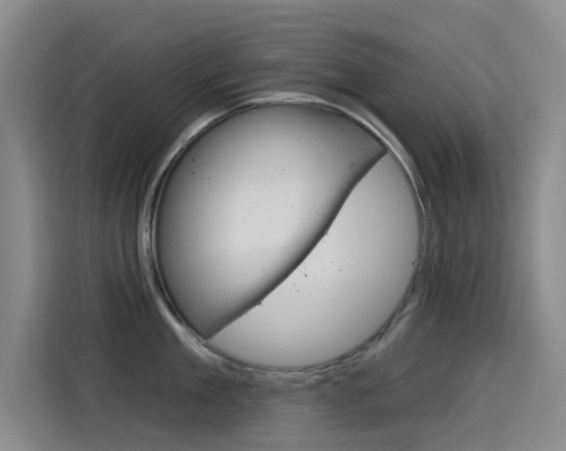 X0000114550909200910190949