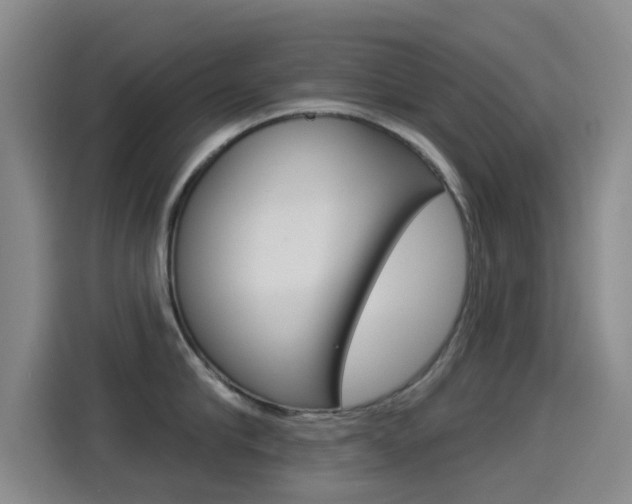 X0000114550910200910190949