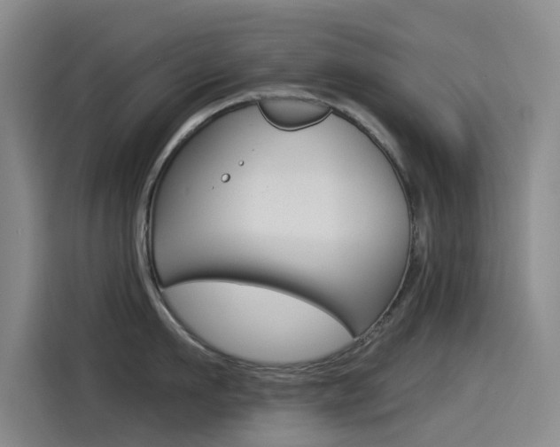 X0000114550911200910190949