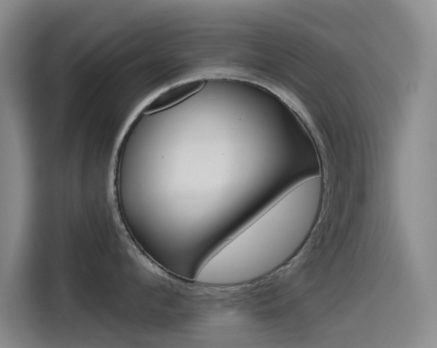 X0000114550912200910190949