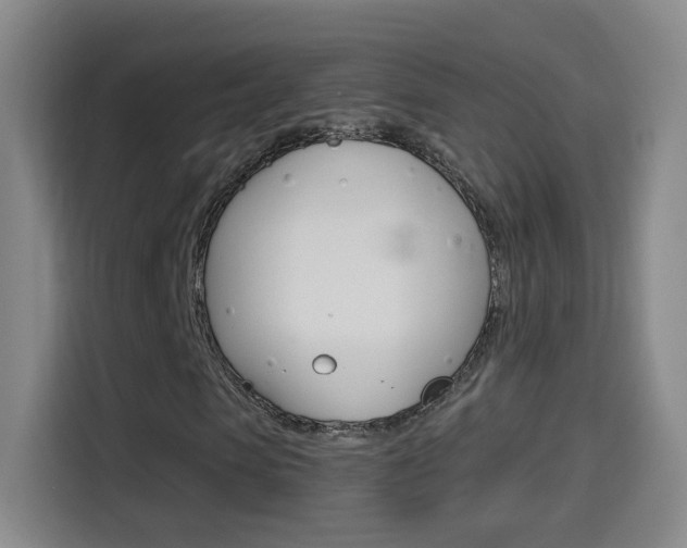 X0000114550913200910190948