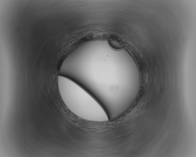 X0000114550914200910190948