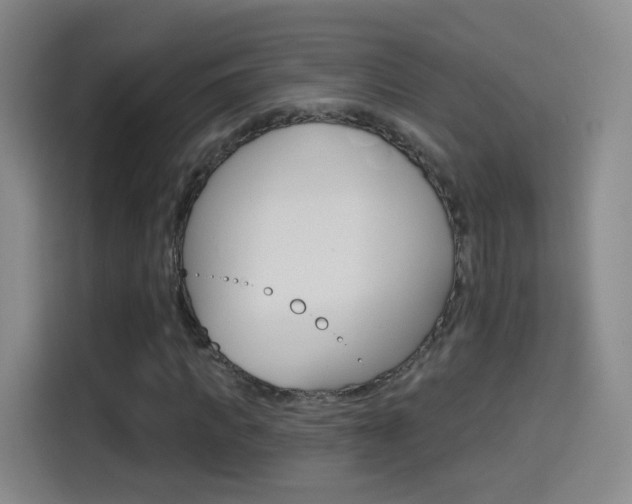 X0000114550917200910190948