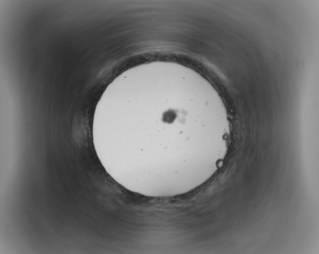 X0000114550918200910190948