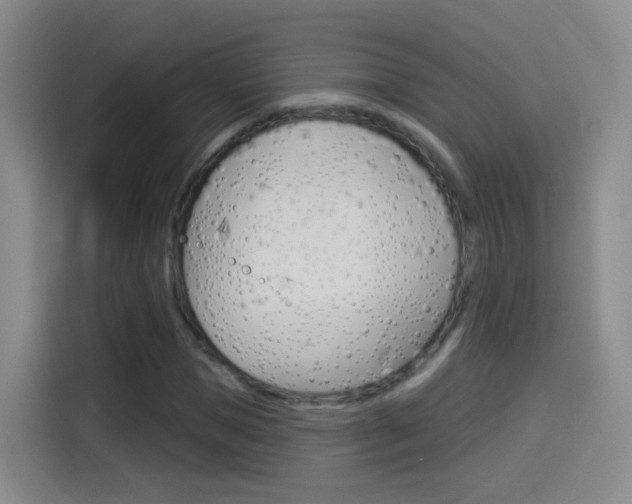 X0000114550921200910190948