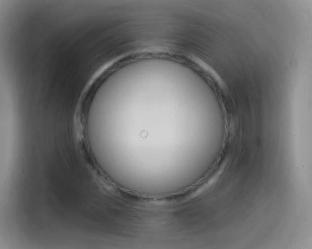 X0000114550925200910190948