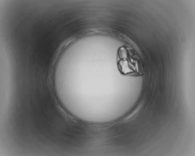 X0000114550930200910190948