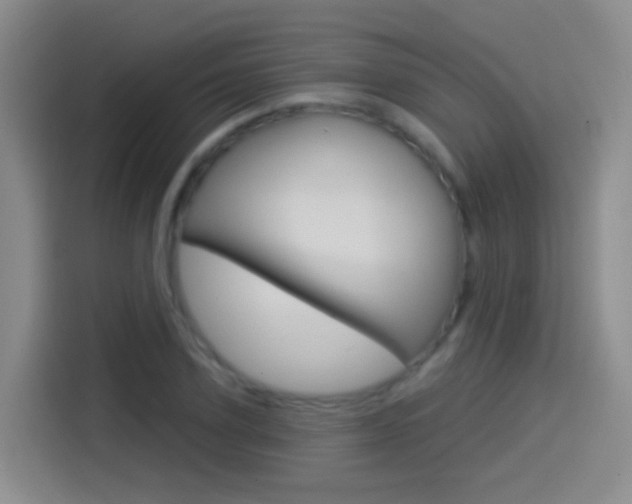 X0000114550931200910190948