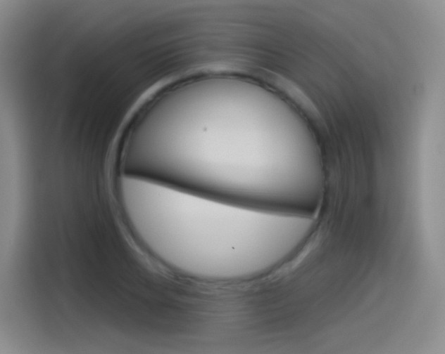 X0000114550934200910190948