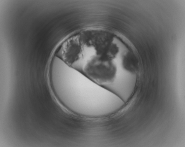 X0000114550941200910190948