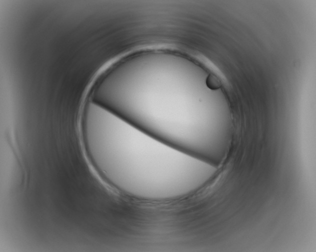 X0000114550943200910190948