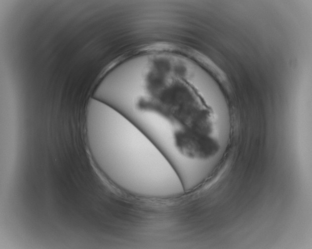 X0000114550945200910190948