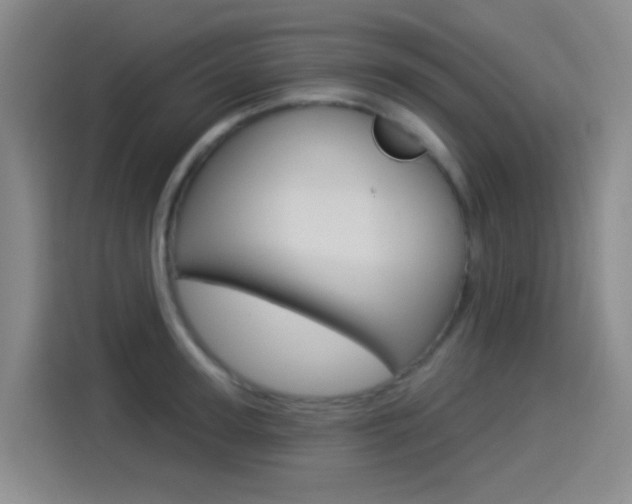 X0000114550947200910190948