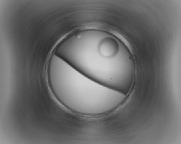 X0000114550949200910190948