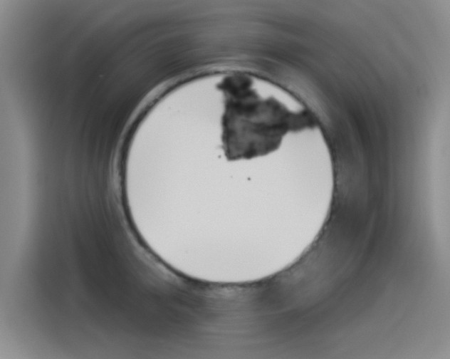 X0000114550950200910190948