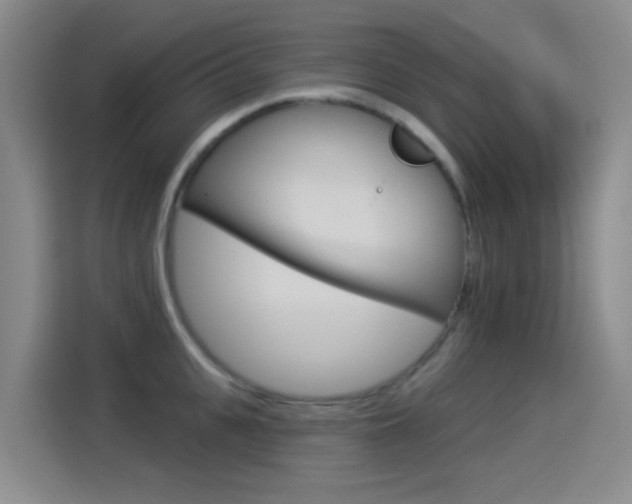 X0000114550951200910190948
