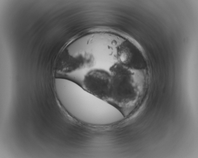 X0000114550953200910190948