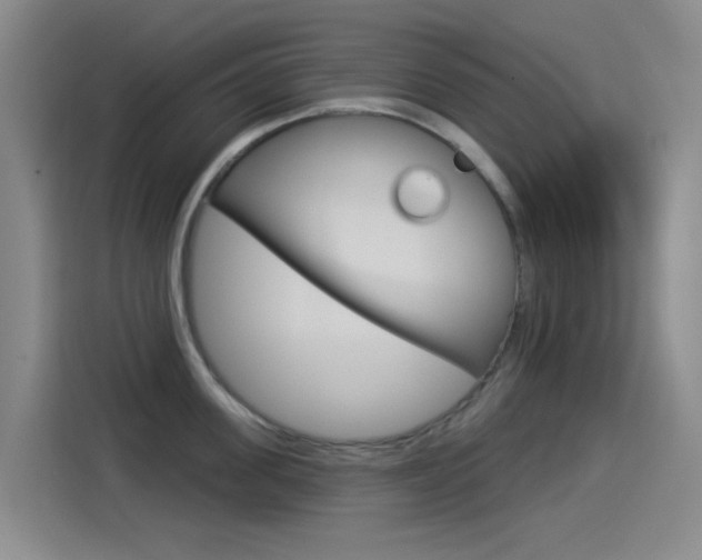 X0000114550955200910190949
