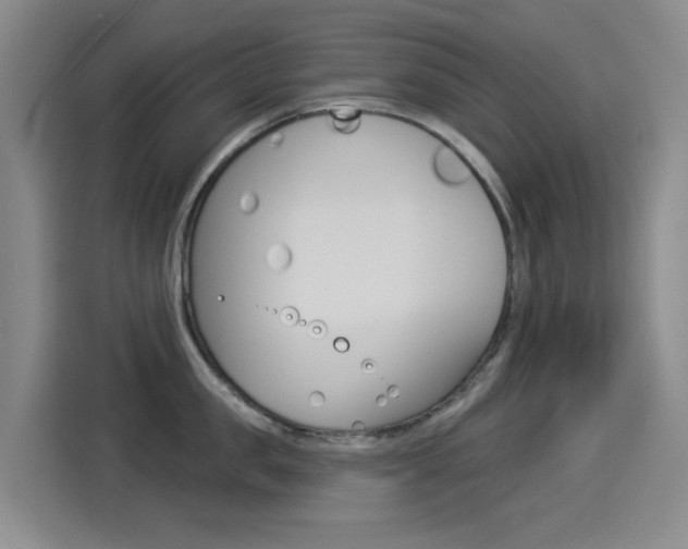 X0000114550957200910190949