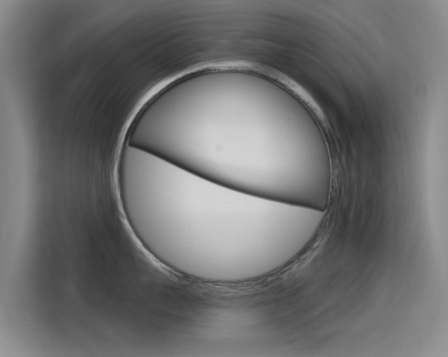 X0000114550959200910190949