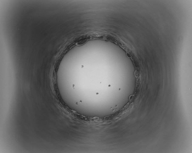 X0000114550961200910190948